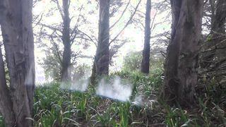 OUTDOOR SEX Amateur Couple Fucking away from View