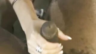 Sexy Handjob Fantasy comes to Life and a Cumshot