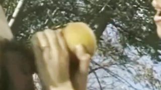 Jerking the Hard Cock Fun Experience Deep Cumshot Session