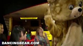DANCING BEAR - Angelina Mylee, Olivia Olovely, Danielle Sky, Jazmine Lopez And More!